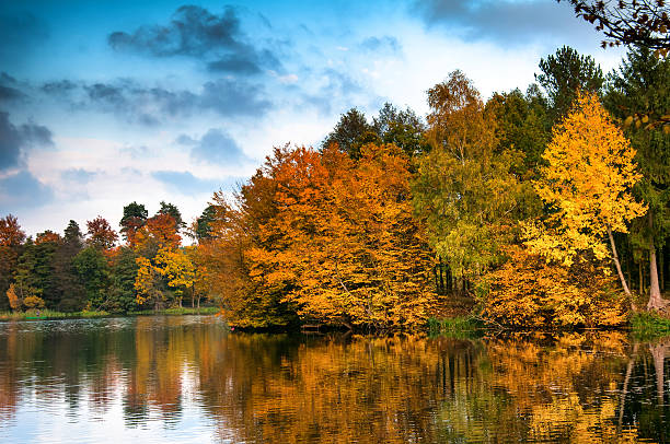 istock Beautiful forest and lake in autumn 618612538