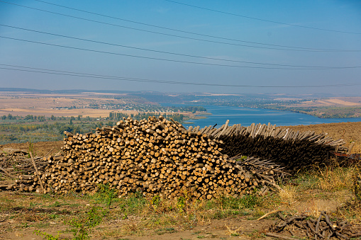 At the glade. Heap of firewood on panoramic background