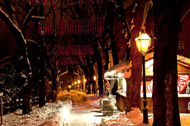 istock Zagreb alley in Christmas time 618623610