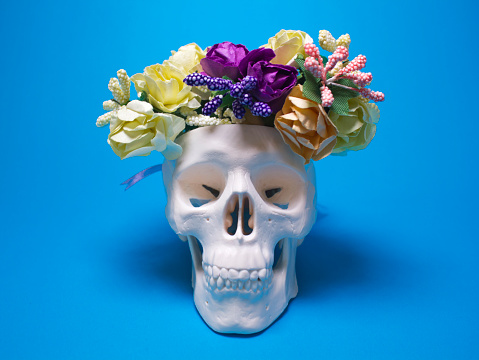 Skull with flower wreath on head in front of blue background.