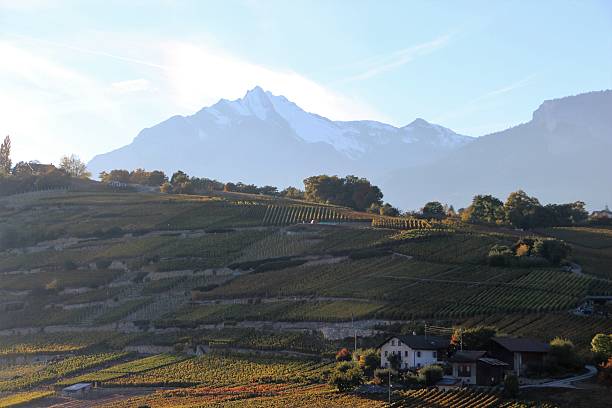 istock switzerland - landscape in Valais 618625886