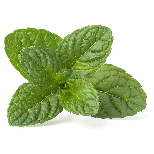 istock Fresh mint herb leaves isolated on white background cutout 618626454