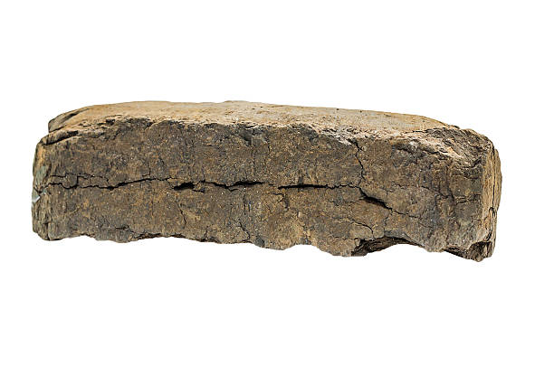 istock Peat fuel briquettes 618626884