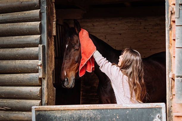istock Rider brushing her horse in stable 618628180