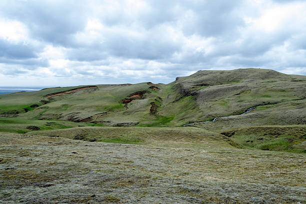 istock Tundra in Iceland 618628534