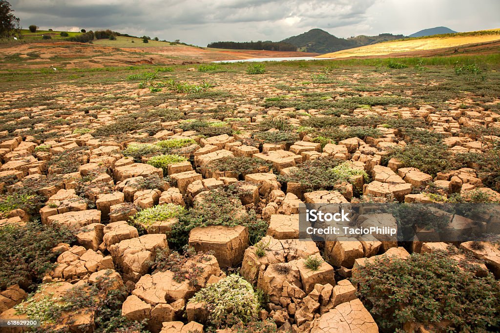 Drought soil in brazilian dam Drought Stock Photo
