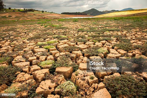 Drought Soil In Brazilian Dam Stock Photo - Download Image Now - Drought, Accidents and Disasters, Arid Climate