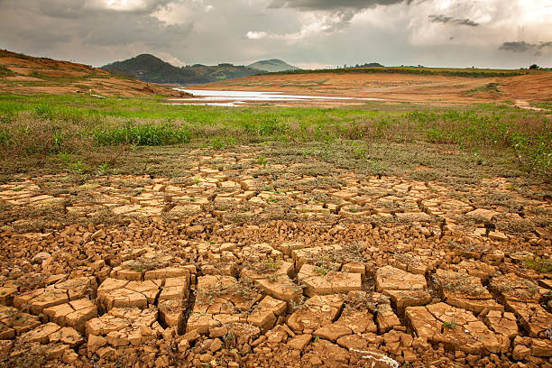 trockener boden in brasilianischem damm - trockenlandschaft stock-fotos und bilder