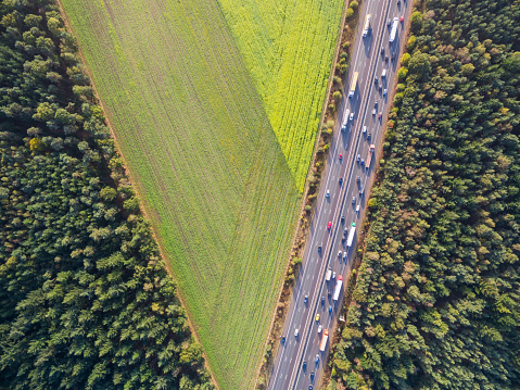 Green cultivated fields by highway in Netherlands