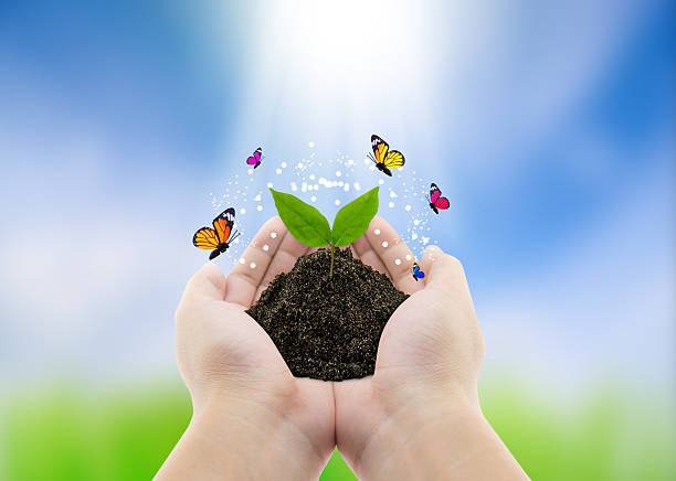 istock plant in hands and butterfly - nature background 618630752