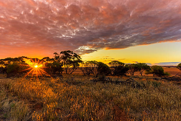 Sunset in Wheat Belt, Western Australia, Australia stock photo