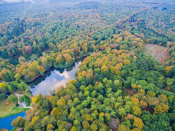 istock Aerial forest and fields view in Netherlands at autumn season 618631130