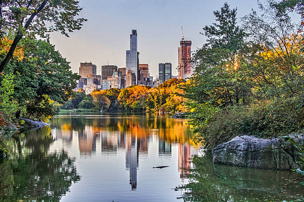istock Central Park, New York City 618631528