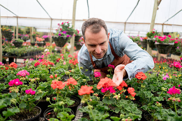 istock Man working at a greenhouse 618634684