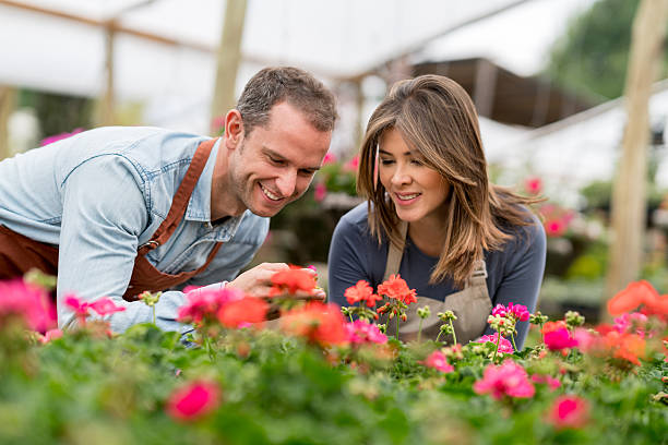 istock People growing plants at a greenhouse 618634856