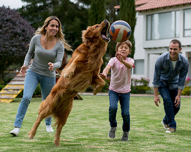 istock Happy family playing outdoors with their dog 618635378