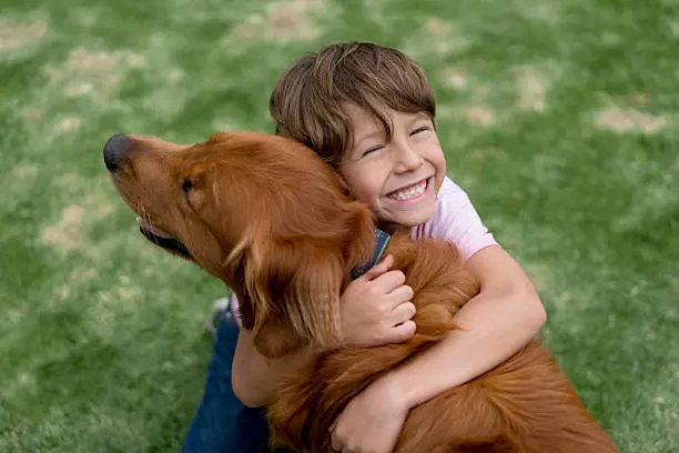 Portrait of a happy boy outdoors hugging a beautiful dog - lifestyle concepts