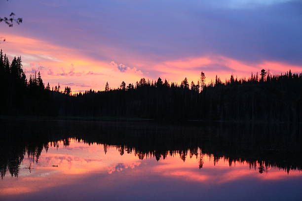 istock Forest and Lake in the Pink Sunset 618635874