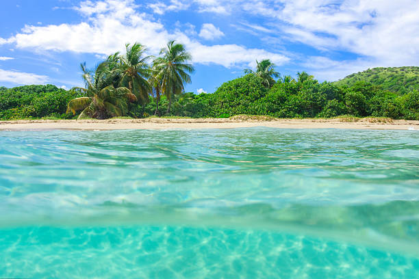 Over under shot of unspoilt tropical Zoni Beach on Caribbean island of Isla Culebra with coconut palms and clear turquoise green water