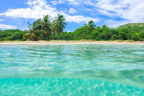 Over under shot of tropical beach Over under shot of unspoilt tropical Zoni Beach on Caribbean island of Isla Culebra with coconut palms and clear turquoise green water culebra island photos stock pictures, royalty-free photos & images