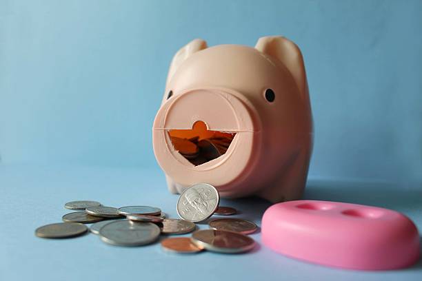 istock take coins out of a moneybox 618640312