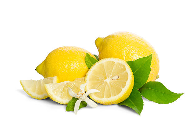 istock Lemons tree flower and a lemons isolated on white background 618643260