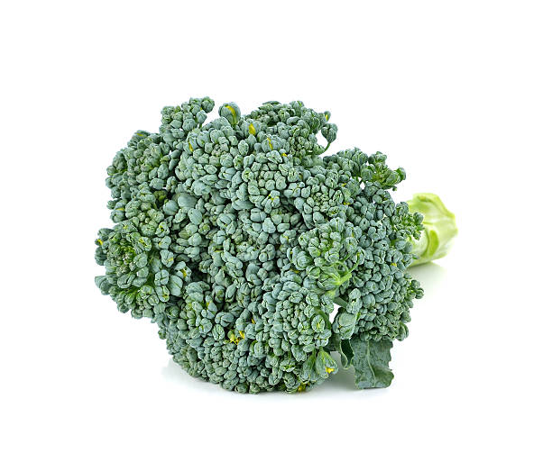Broccoli vegetable isolated on white background Broccoli vegetable isolated on white background brokoli stock pictures, royalty-free photos & images