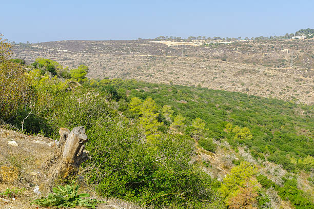 istock Landscape in the Mount Carmel national park 618645018