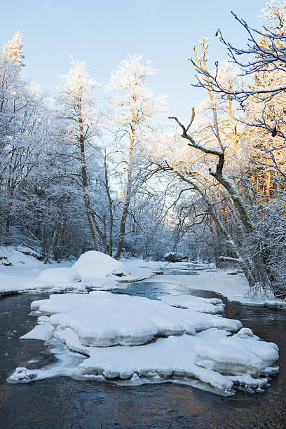 istock Ravine with river and forest in winter 618645364