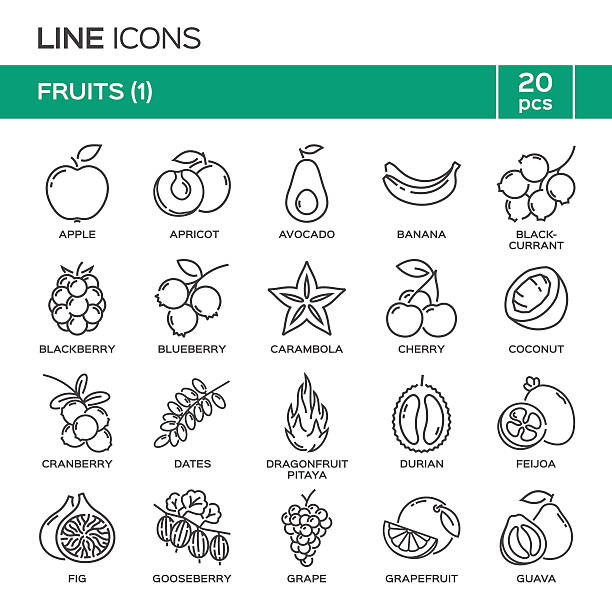 ilustraciones, imágenes clip art, dibujos animados e iconos de stock de conjunto de iconos de línea delgada de fruta en orden alfabético. - carambola o carambola averrhoa carambola en el árbol