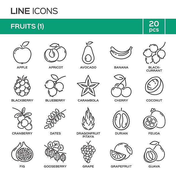 Set of fruit thin line icons in alphabetical order. Set of fruit thin line icons in alphabetical order. Fruit symbols, labels, emblems. Vector illustration. Part 1. pineapple guava stock illustrations