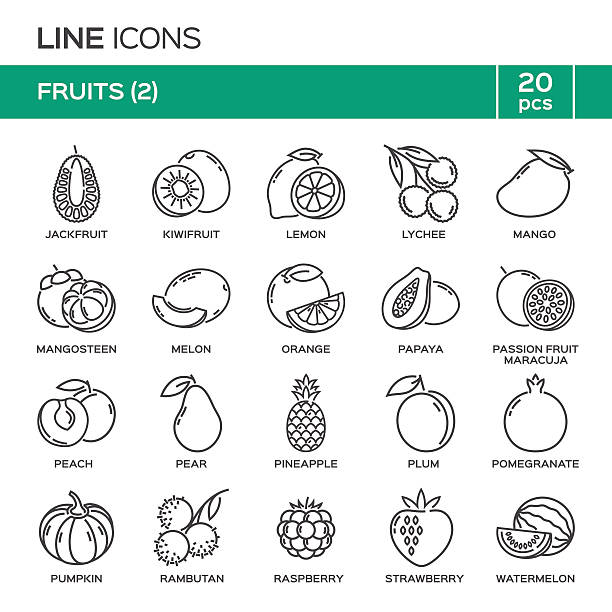ilustraciones, imágenes clip art, dibujos animados e iconos de stock de conjunto de iconos de línea delgada de fruta en orden alfabético. - parchita