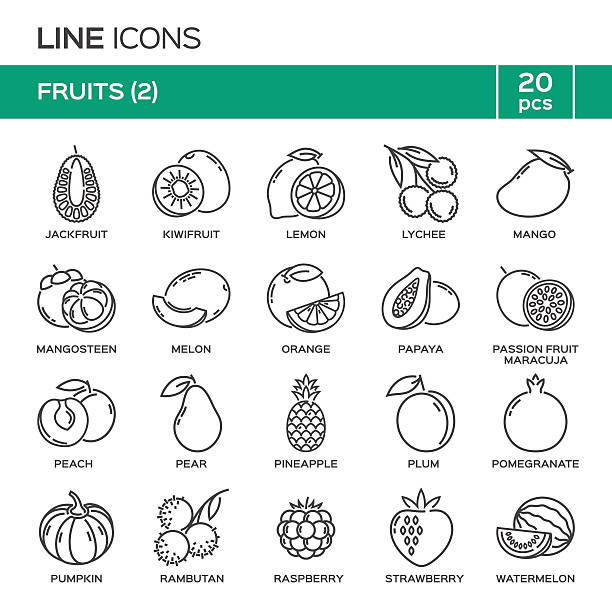 ilustrações de stock, clip art, desenhos animados e ícones de set of fruit thin line icons in alphabetical order. - raspberry fruit pattern berry fruit