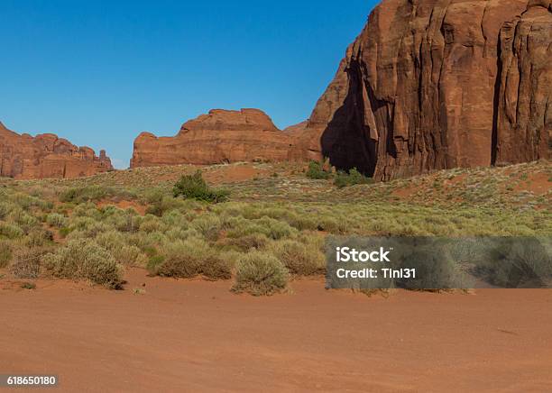 Monument Valley Dogs Head Stock Photo - Download Image Now - Animal Body  Part, Animal Head, Animals In The Wild - iStock