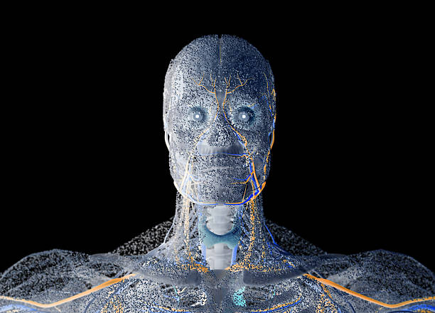 istock Human anatomy face, front of head covered network of dots. 618651002