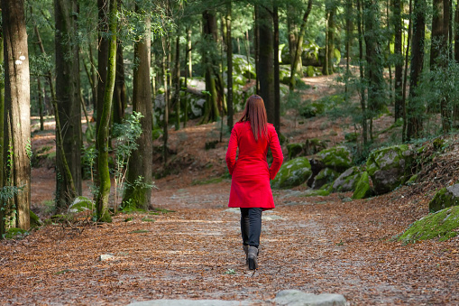 Young woman walking away alone on a forest path wearing a red overcoat