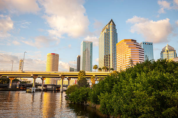 istock Tampa downtown skycrapers, Florida, USA 618719078