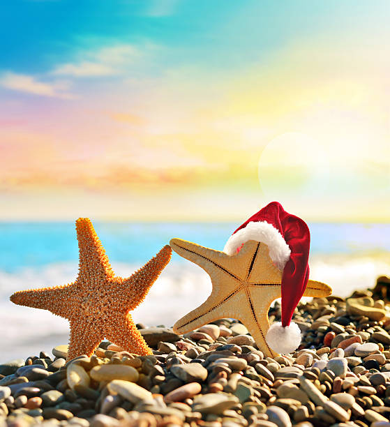 istock starfish in santa hat at the seaside 618721302