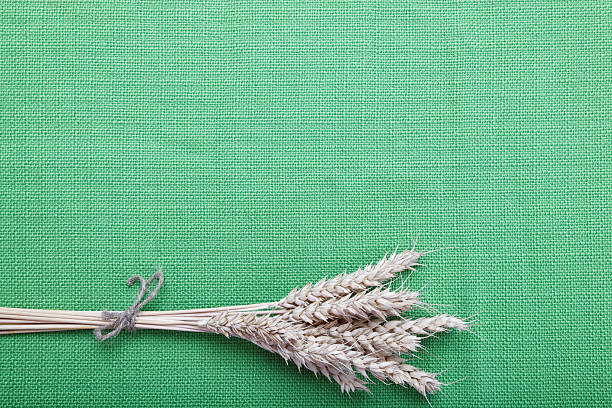 istock Ears of wheat on the green canvas. 618721730