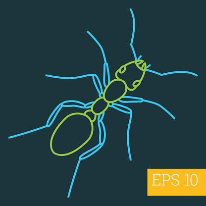 ant linear vector illustration. insect outline icon.