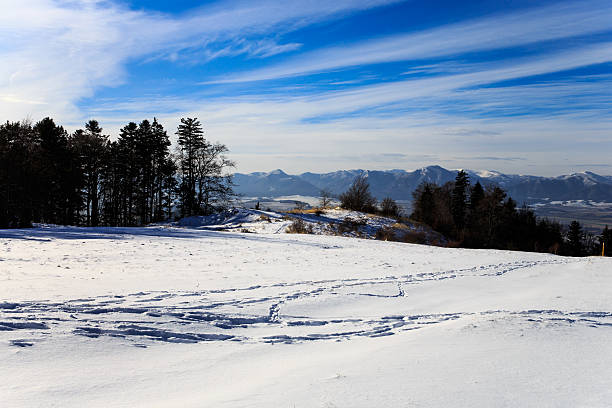 istock winter mountain's landscape 618724946
