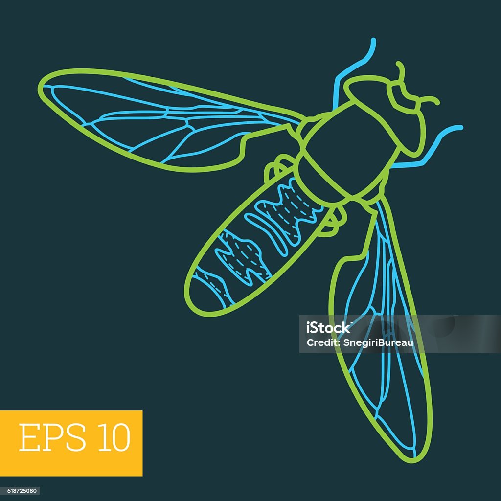 Flying Insects Outlines Fly Insect Outline Vector Stock Illustration - Download Image Now ...
