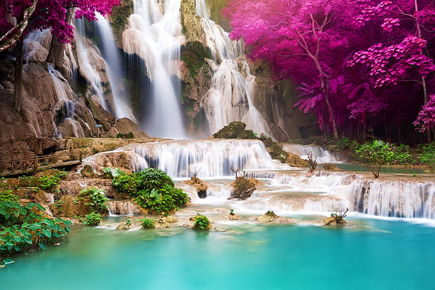 água azul-turquesa da cachoeira de kuang si, luang prabang. laos - scenics waterfall autumn rock - fotografias e filmes do acervo