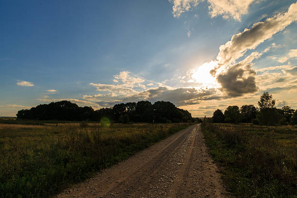 istock Autumn landscape with green grass on a meadow 618726324