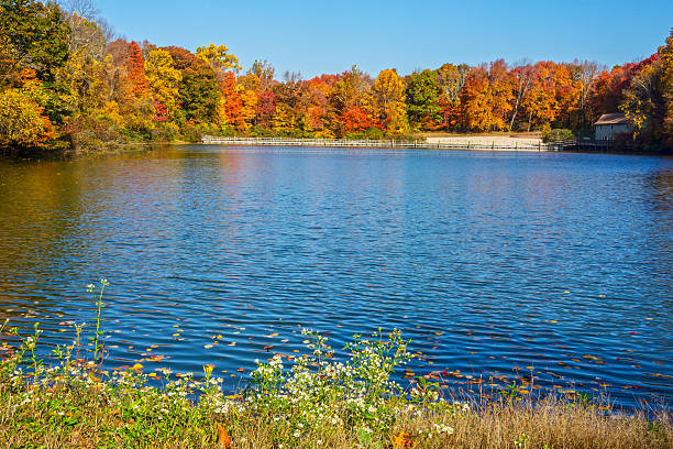 istock Wildflowers and Autum Lake 618727748