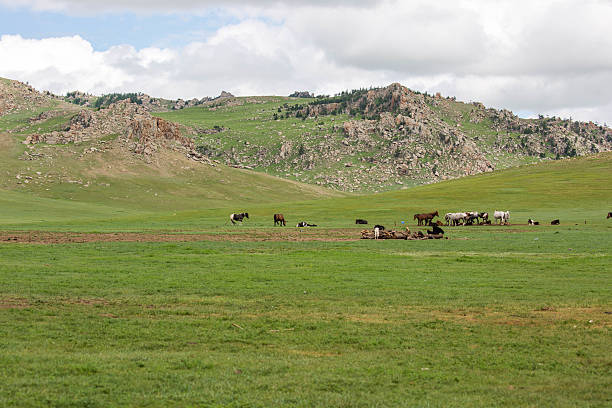 istock Mongolia: Horses on the Steppes 618727822
