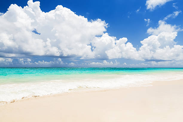 istock Wave of the sea on the sand beach 618727954