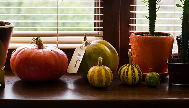 istock Pumpkins on a wooden window sill 618732388