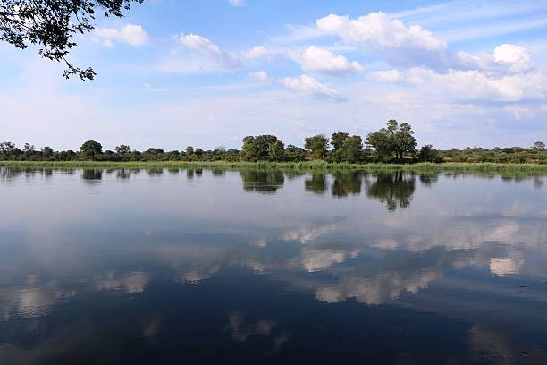 istock Reflection in Okavango at Caprivi Strip of Namibia, Africa 618732466