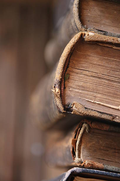 istock Old books in the Library, soft focus. Education, Science idea. 618736776